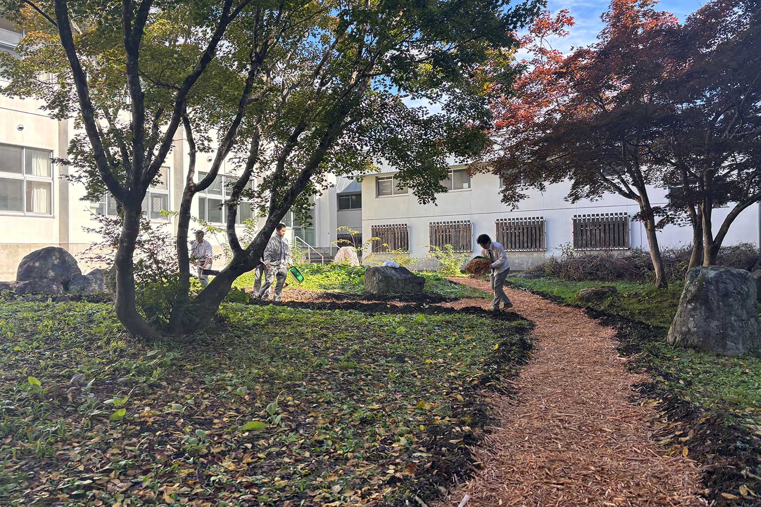 白馬高校へウッドチップ搬入の様子_白馬田中建設